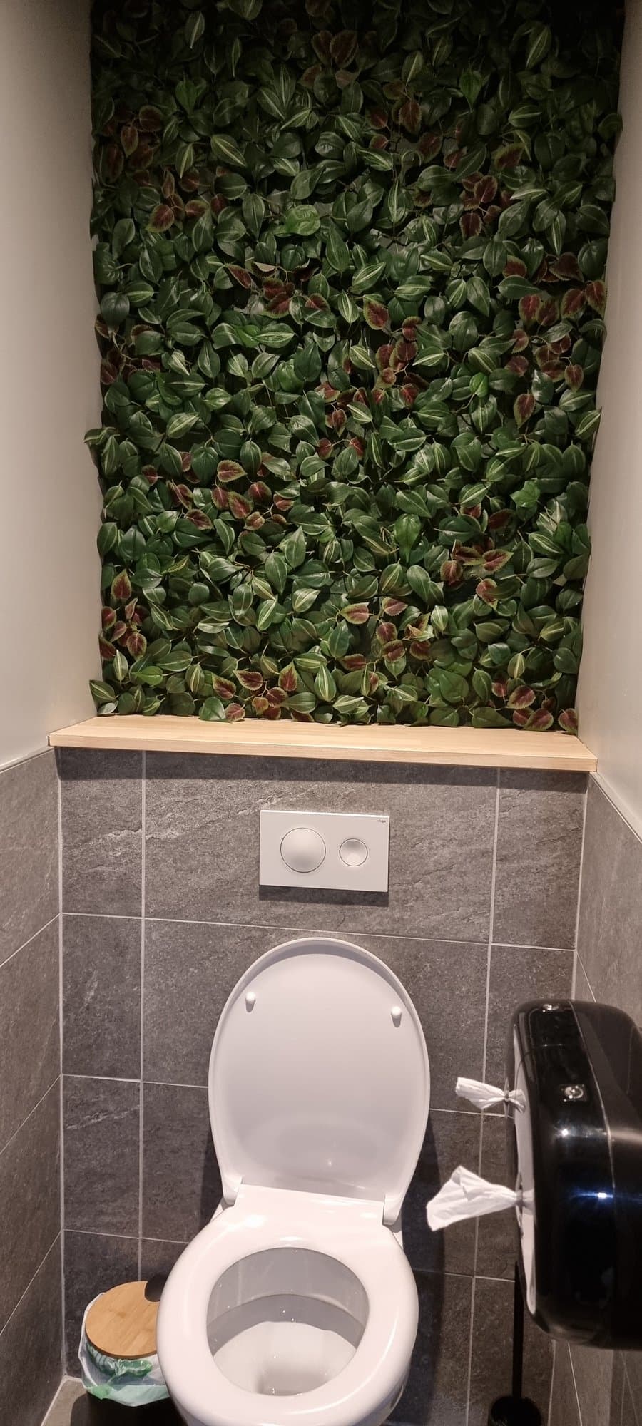 The living wall in Ankor's washrooms