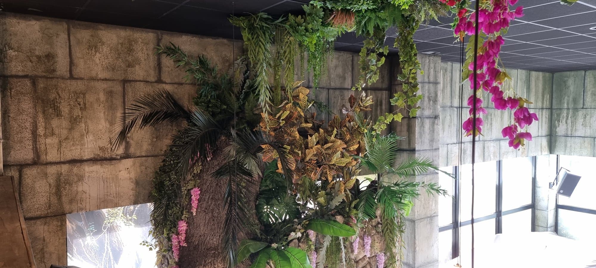 Hanging planting in front of Ankor's glazed front